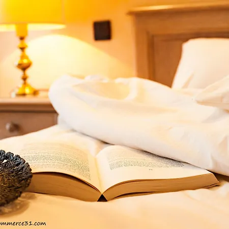 Du Commerce Hotel Saint-Gaudens (Haute-Garonne)