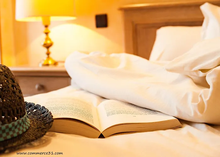 Du Commerce 酒店 圣戈当