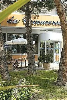 Hotel Du Commerce Saint Gaudens